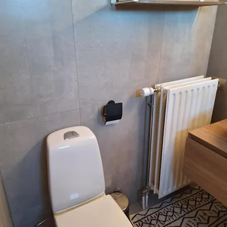 Apartment Zonnig Vernieuwd Penthouse Dicht Bij Het
